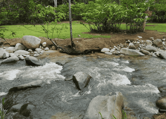 Screenshot 2025-01-09 at 4.23.01 PM